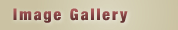 Image Gallery