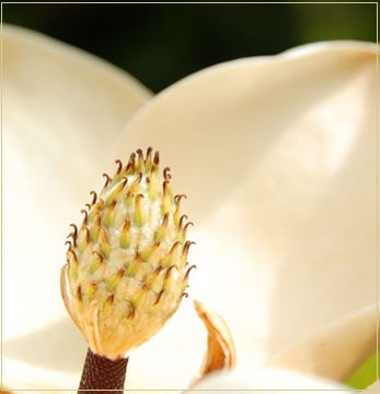 Express Inn of Westwego - Just 15 minutes from New Orleans!